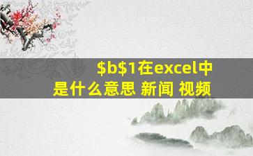 $b$1在excel中是什么意思 新闻 视频